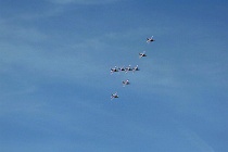 AC1 8572  (@)Photo ACG