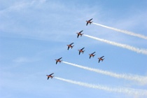 AC1 8577  (@)Photo ACG