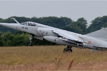 Tiger Meet Landi2008 06 27 1185ACG 4091  @PhotoACG