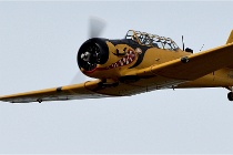 D500 Merville 18-09-16 1128   Photos ACG 2018