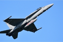 Frisian Flag 19-04-09 3535   Photos ACG 2018