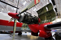 Z9 TATOO 22-07-12 0329  Photo ACG