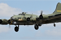 D6 TATOO 22-07-13 4320  Photo ACG