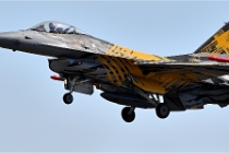 D6 TATOO 22-07-14 4889  Photo ACG