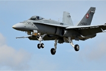 D6 TATOO 22-07-14 6019  Photo ACG