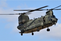 D6 TATOO 22-07-14 6395  Photo ACG