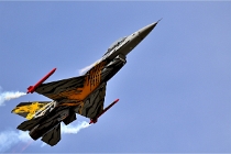 D6 TATOO 22-07-17 8764  Photo ACG