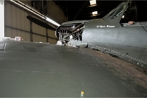 AC2 7174  (@)Photo ACG