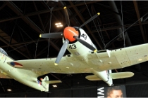 D850 MusArmHoll 18-06-01 009   Photos ACG 2018